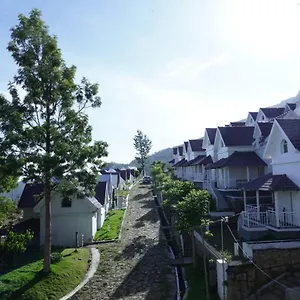 Hotel Mirth And Resorts